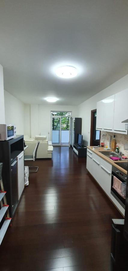 Spa Apartment Moser كارلوفي فاري المظهر الخارجي الصورة