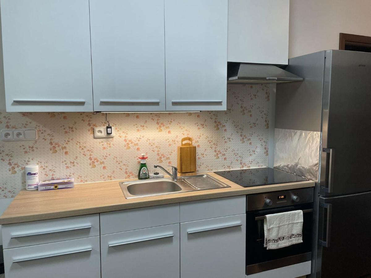 Spa Apartment Moser كارلوفي فاري المظهر الخارجي الصورة