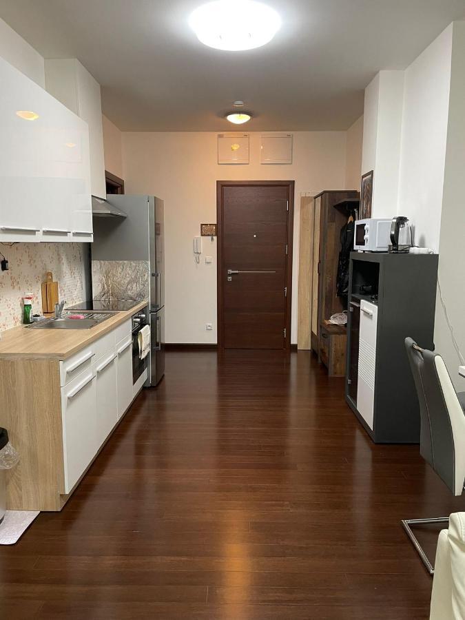 Spa Apartment Moser كارلوفي فاري المظهر الخارجي الصورة